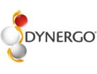 Logo Dynergo