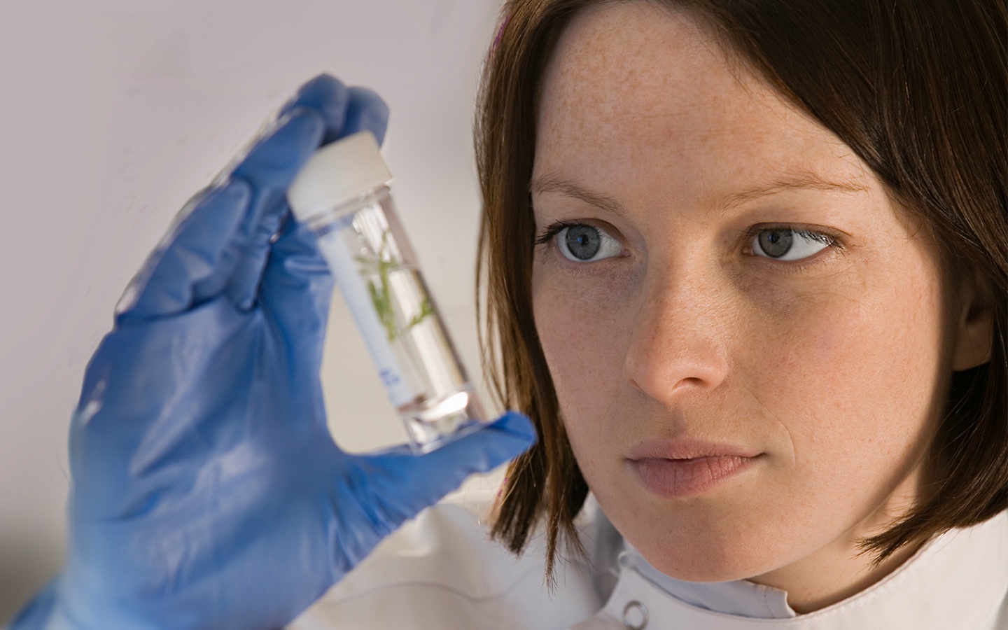 Close-up van vrouwelijke onderzoeker die een kweekbuisje bekijkt met blauwe chirurgische handschoenen aan.