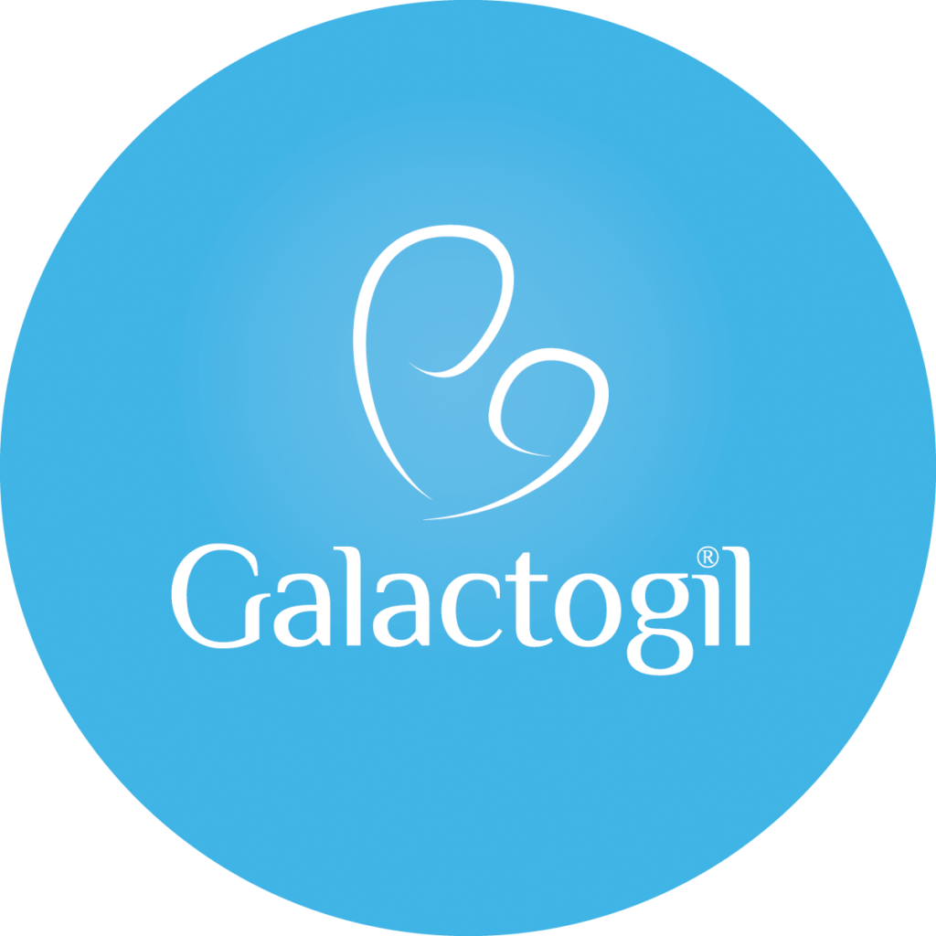 GALACTOGIL LACTATION 24 SACHETS : Divers